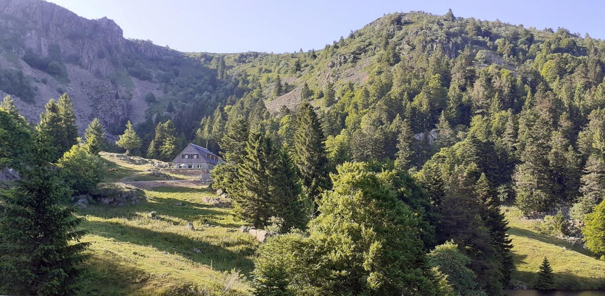 Munster Camping De La Fecht מראה חיצוני תמונה